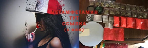 стаф Абинск