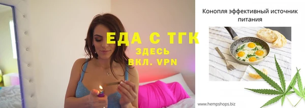 тгк Алзамай